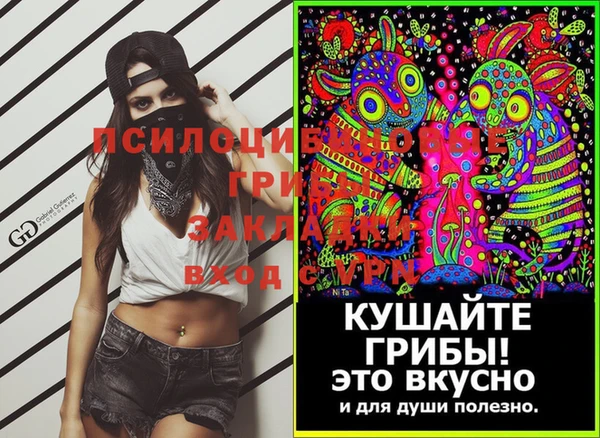 тгк Армянск