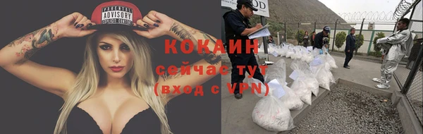 тгк Армянск